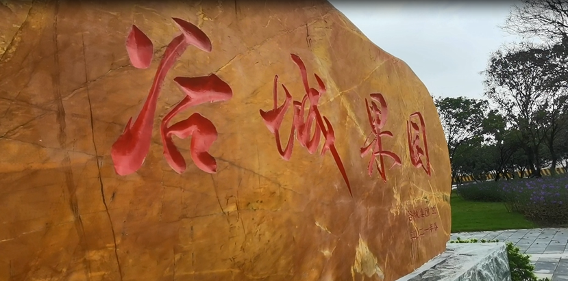 谷城礦業(yè)直播：走進(jìn)“谷城果園”！